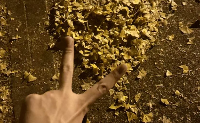 Annual Summary of 2025 | STAR WALKIN’